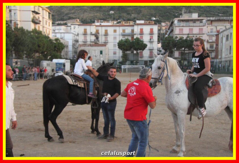 161106 equestre 164_tn.jpg